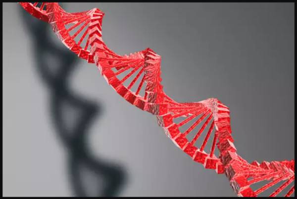 Nationalt Genom Center indstilles til bøde